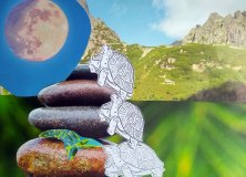 nervuska-arte-2024-archiv03